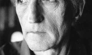 Georg Scherg în Hermannstadt jpeg