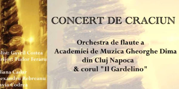 Afiş concert