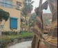 Coșmar într-un hotel din Hurghada, Egipt Foto: FB/Scott Edward