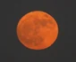 Superluna albastră - sângerie în Tokyo. FOTO EPA-EFE