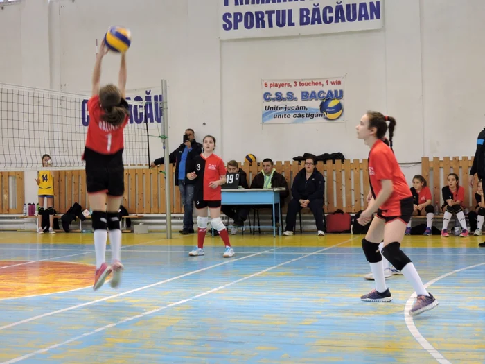 volei