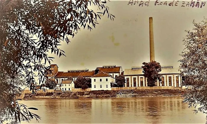 Fabrica de zahăr din Arad în perioada interbelică (foto: arhivă Aradul de Altădată)