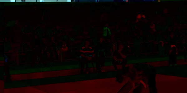 judo
