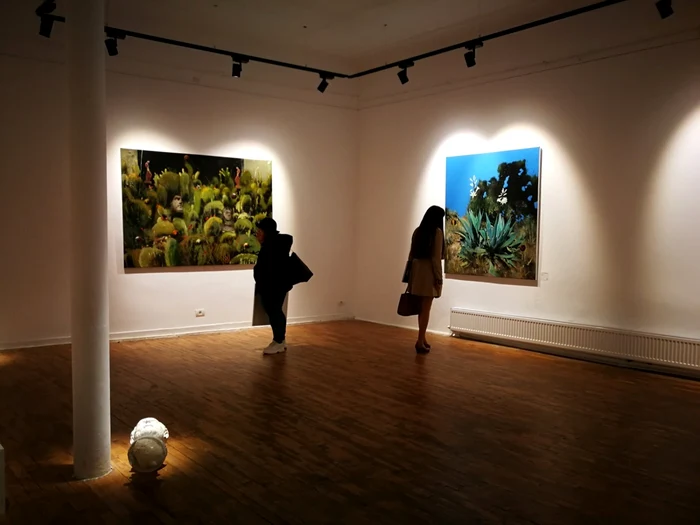 Expoziţia "Icons of Utopia", semnată de Andrei Ciurdărescu, la galeria Arthalle FOTO Diana Andrei