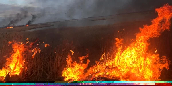 Incendiu stuf Baia FOTO ISU Tulcea
