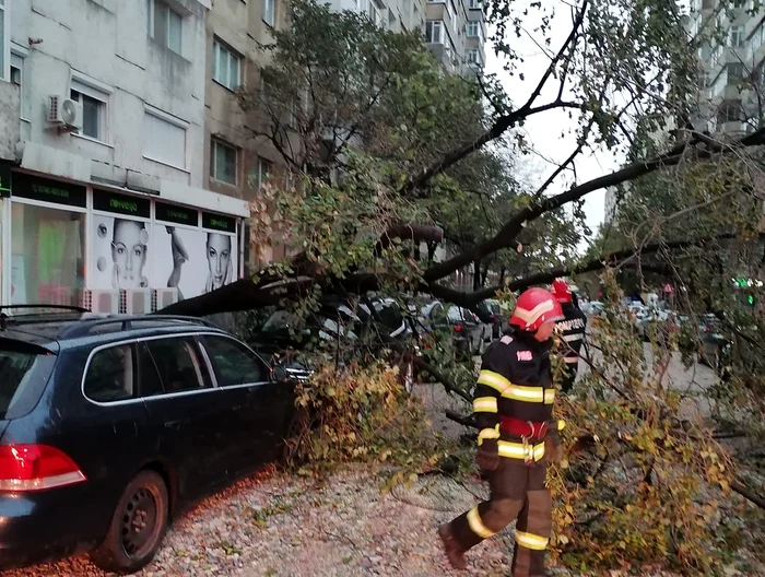 Un copac a căzut peste o mașină la Babadag. FOTO ISU Tulcea