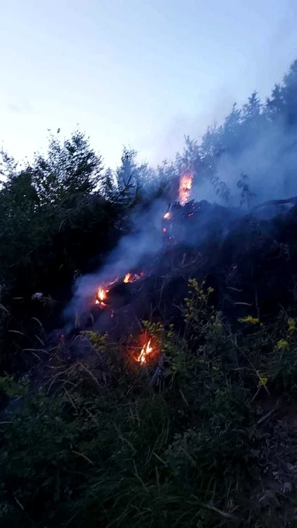 incendiu padure 