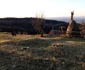 Satul Ursici Foto Daniel Guță (178) JPG