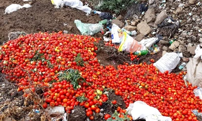 tomate la gunoi