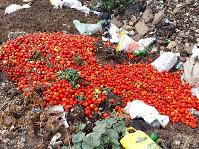 Producătorii au aruncat la gunoi sute de kilograme de tomate, neavând desfacere FOTO Facebook