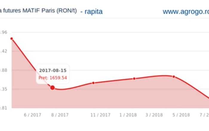 cotatie rapita foto agrogo.ro