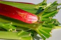 rhubarb 3399627 1280 jpg