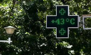 Canicula caldura vara FOTO Shutterstock jpg