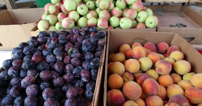 Fructe moldoveneşti FOTO: Adevărul Moldova