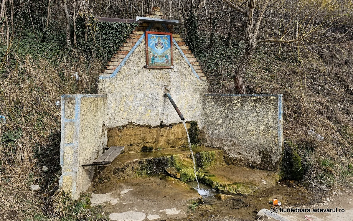 Izvorul din Ciudanovița. Foto: Daniel Guță. ADEVĂRUL