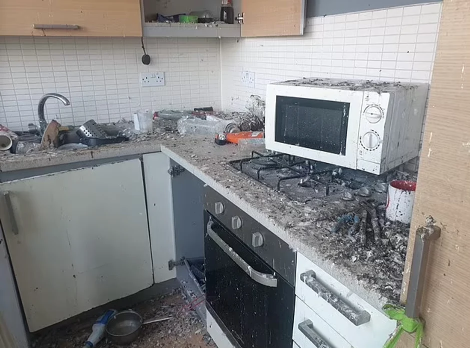 Porumbeii au distrus un apartament din Londra FOTO Daily Mail