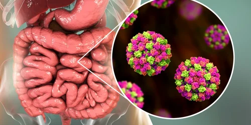 norovirus foto shutterstock