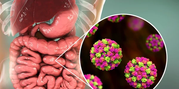 norovirus foto shutterstock