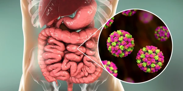 norovirus foto shutterstock