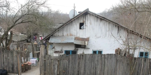 saracia in Romania