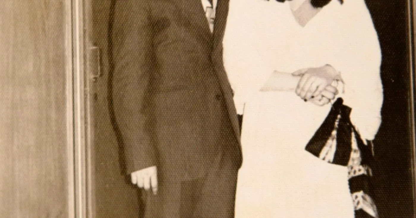 irina margareta nistor