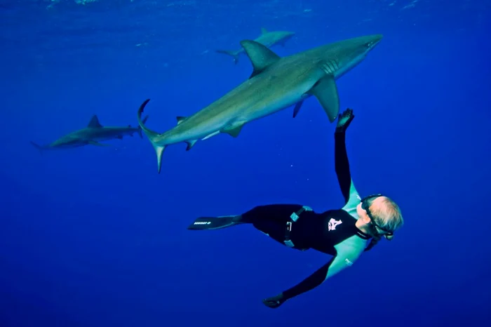 Ocean Ramsey a înotat cu rechinii fără o cuşcă protectoare de trei ori. (Foto: Caters)