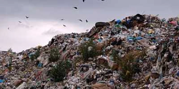 Braşov: Autorităţile nu închid depozitele de gunoi ilegale