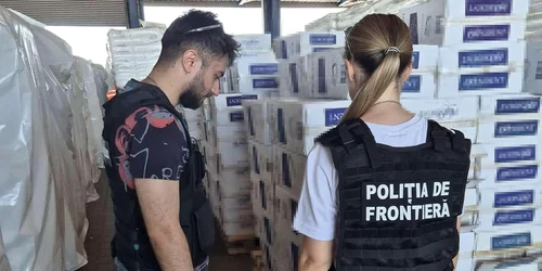 Țigări de contrabandă descoperite în loc de scobitori Foto Poliția de Frontieră jpg
