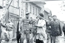Lagărul Auschwitz Birkenau: infernul pe pământ jpeg