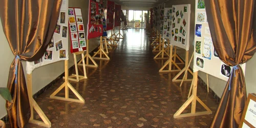 expozitie