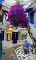 Insula Skiathos din Grecia, foto Click! jpg