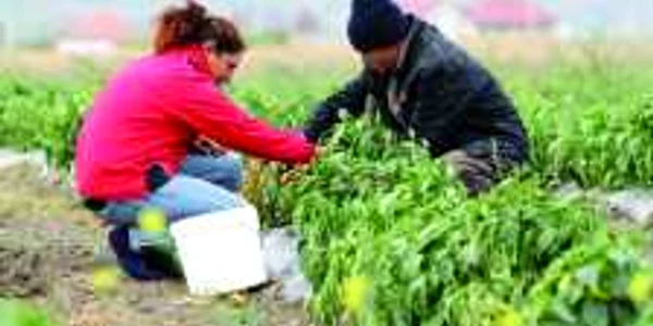 Unii agricultori au fost favorizaţi de către deputaţi