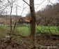 Gialacuta satul pustiu Longhin Topor, ultimul localnic Foto Daniel Guță (27) JPG
