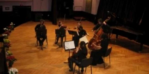 Concert la Palatul Culturii