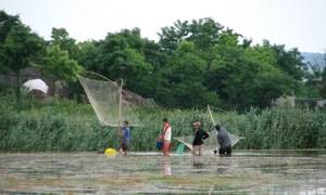 Botoşani: Peştele este singura sursă de hrană pentru sinistraţi jpeg
