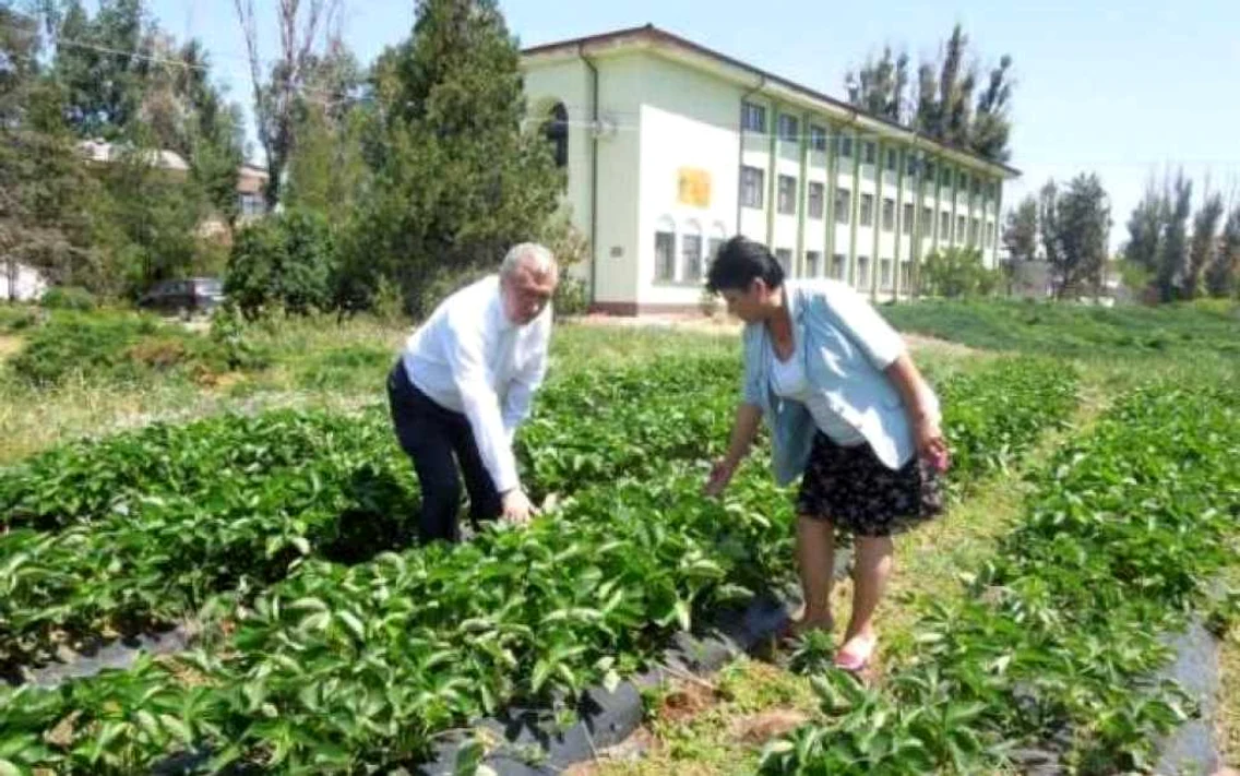 Dabuleni 