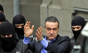 becali catuse 46653000 jpeg