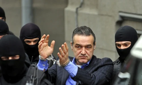 becali catuse 46653000 jpeg