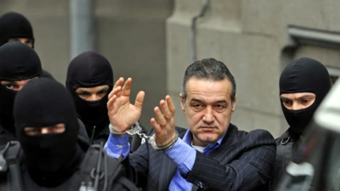 
    Gigi Becali se află după gratii din mai 2013  