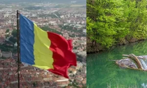 lac png