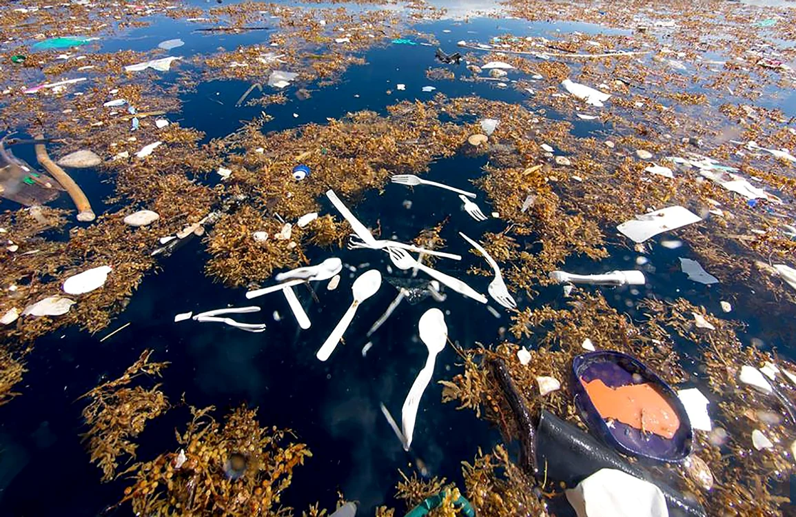 Furculițele, cuțitele și alte obiecte din plastic plutesc în Marea Caraibelor