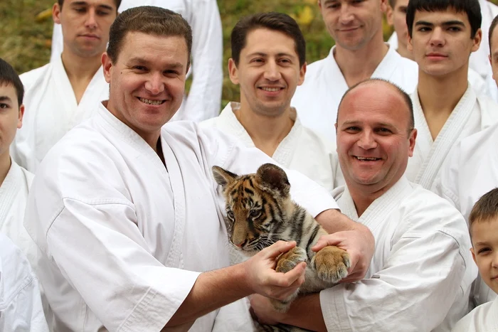 Puiul de tigru este noua mascotă a sportivilor din Chișinău