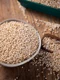 Superalimentul folosit de NASA  Sursa foto Pixabay quinoa 6341424 1280 jpg