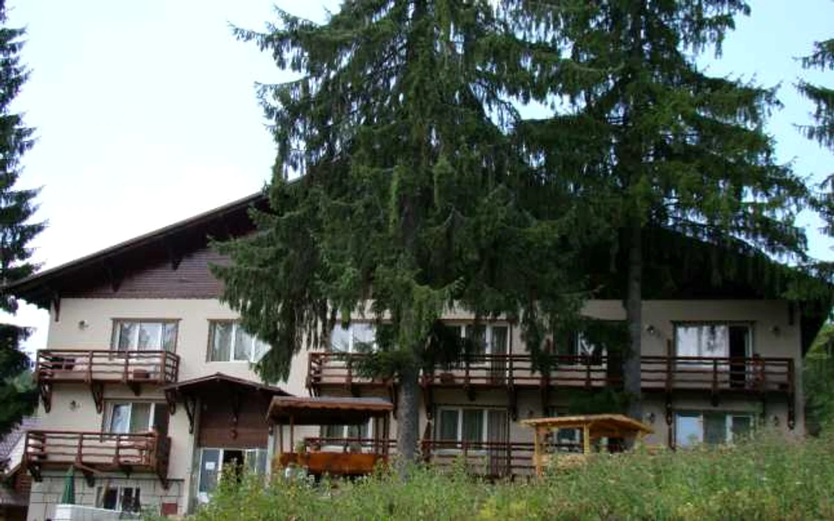 pavilionul 3