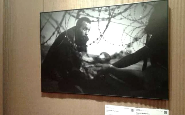 Fotografia câştigătoare a World Press Photo 2016. FOTO: news.ro