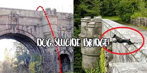 Haunted Bridge