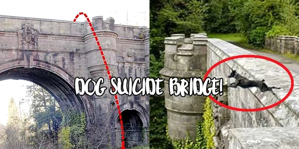 Haunted Bridge