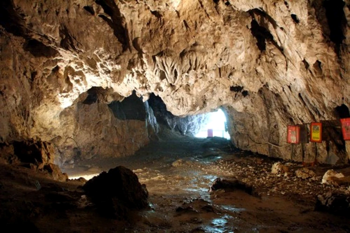 polovragi