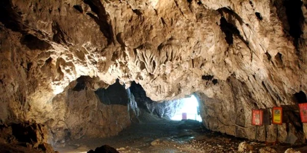 polovragi
