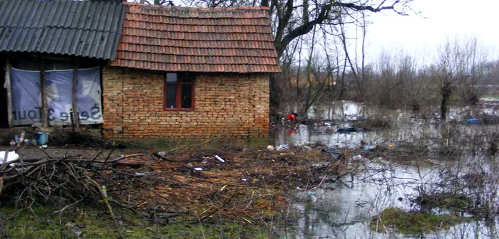 Apele revărsate ale Coşuştei aproape de gospodăriile localnicilor FOTO Corina Macavei